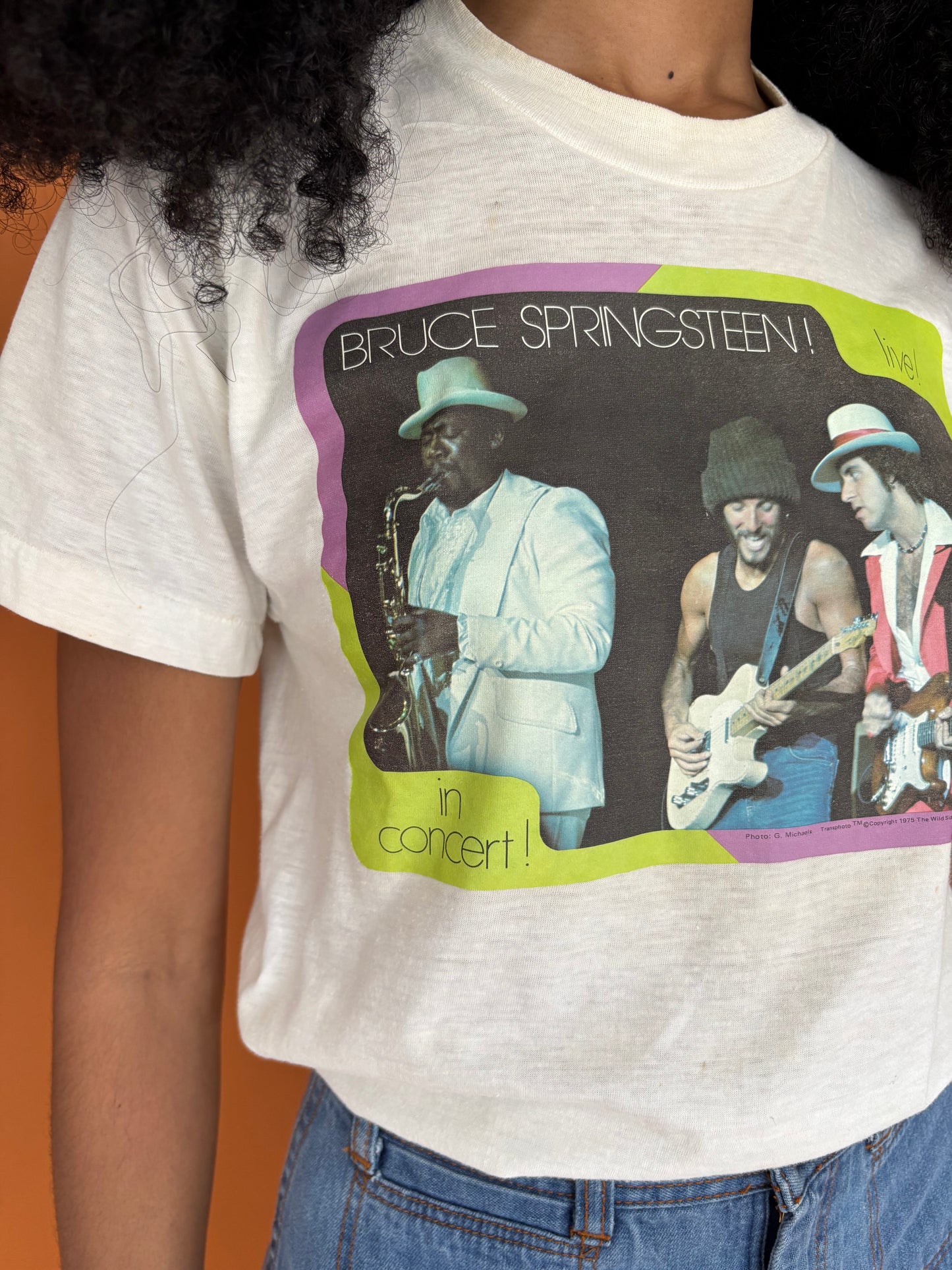 Bruce Springsteen vintage iron on tee