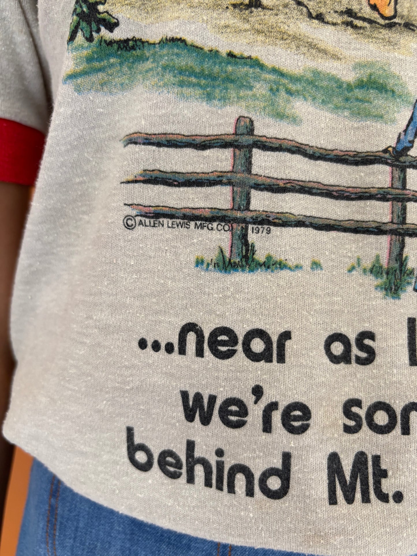 Mount Rushmore cheeky tee