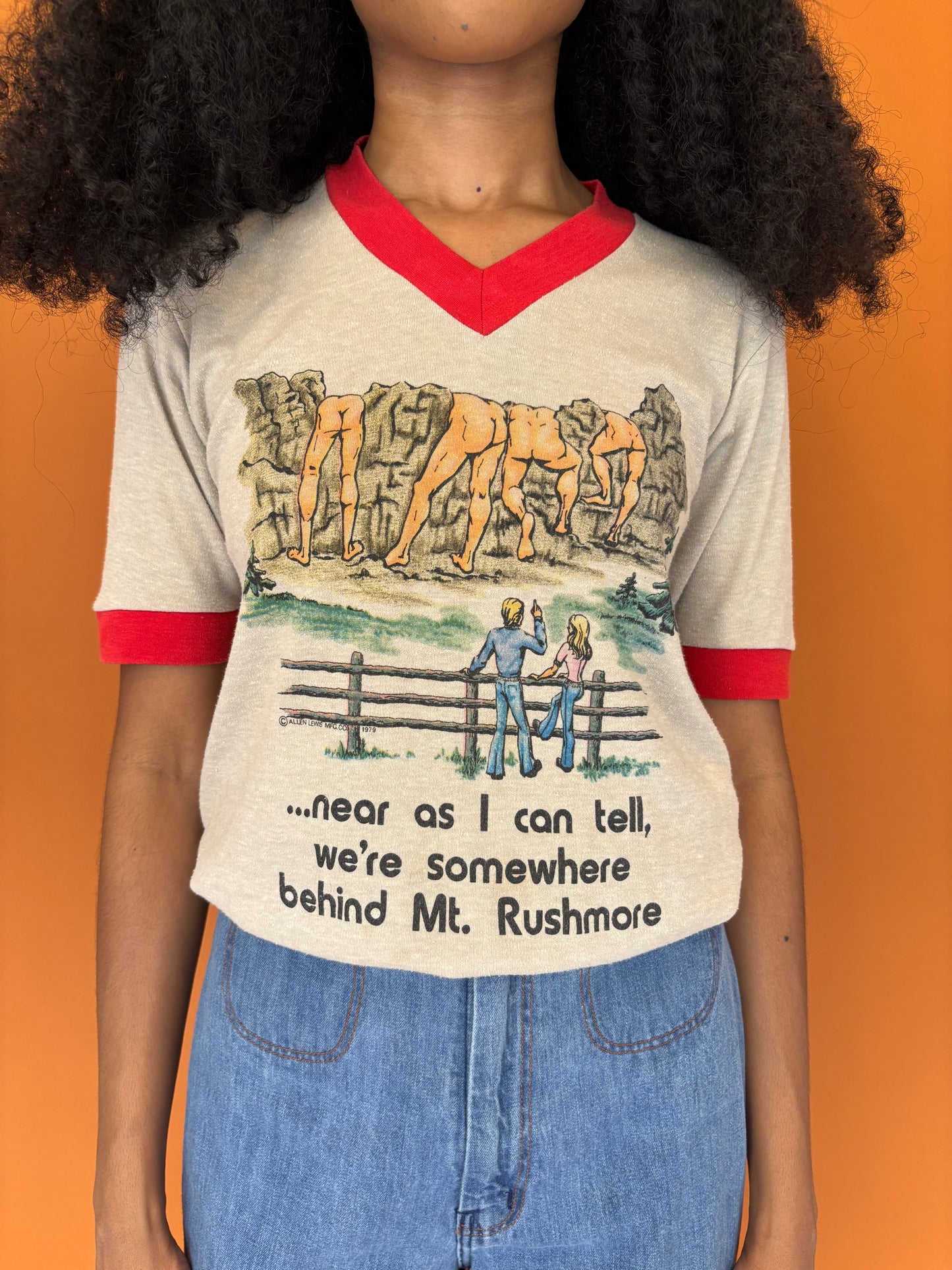 Mount Rushmore cheeky tee