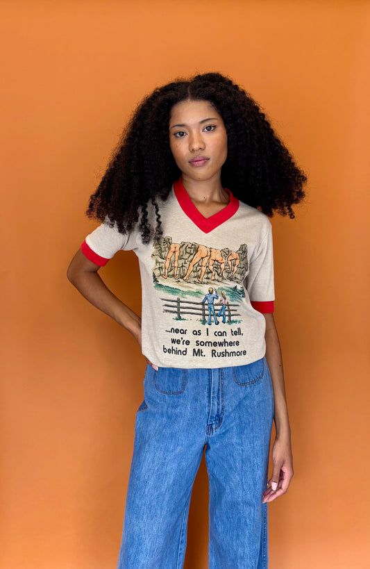 Mount Rushmore cheeky tee