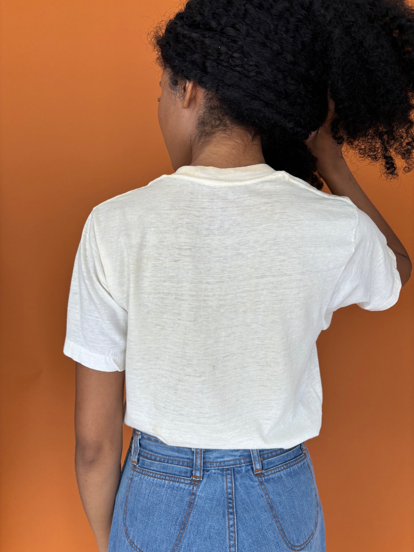 Bruce Springsteen vintage iron on tee